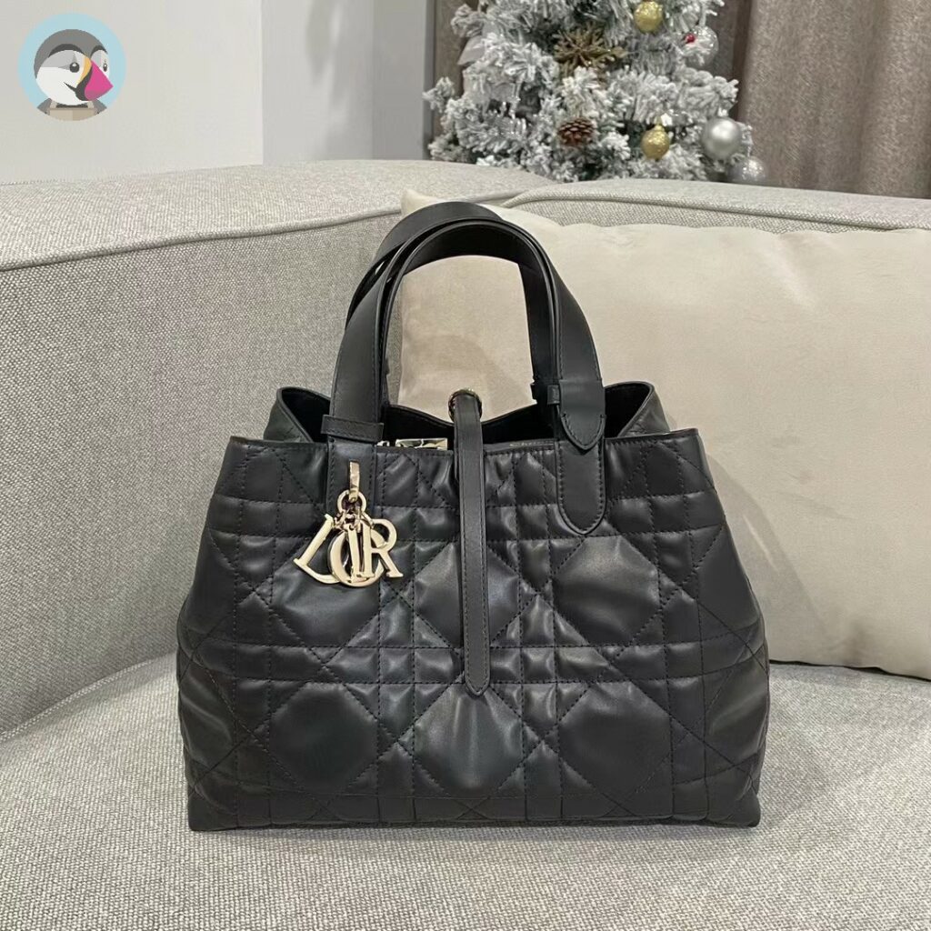 여왕삽 디올(DIOR) 뚜주흐(TOUJOURS)백 매장출고가 홍콩팩토리 hkfactory2.org