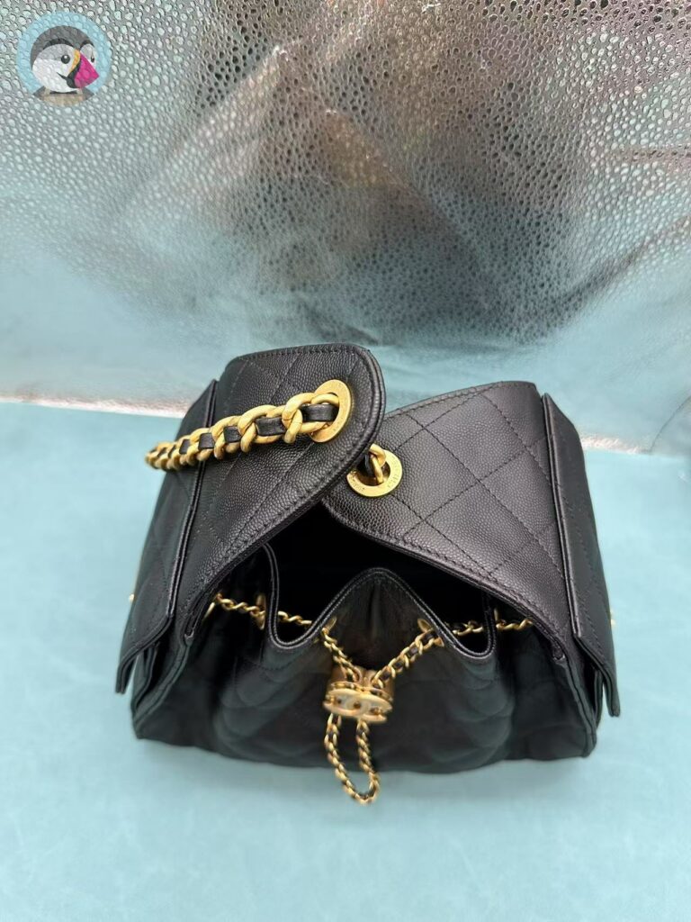 지존샵 샤넬 25백 크루즈 호보백 발송전 고객확인컷 홍콩팩토리