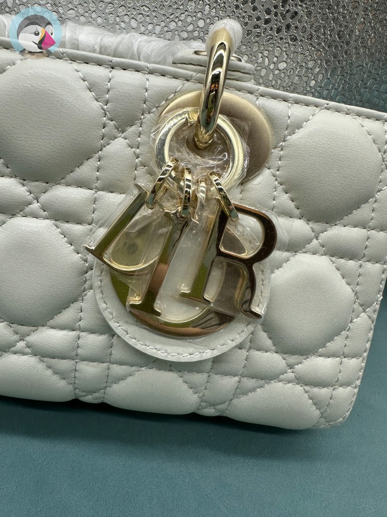 디올 레이디 디조이 백 스몰 까나쥬