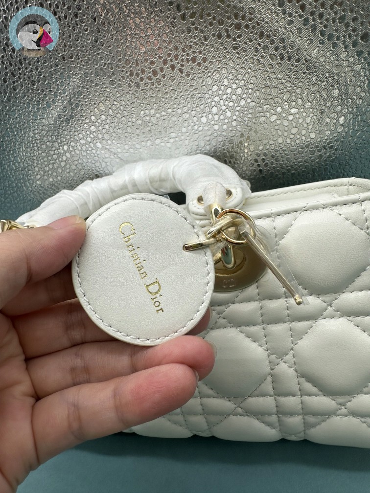 디올 레이디 디조이 백 스몰 까나쥬