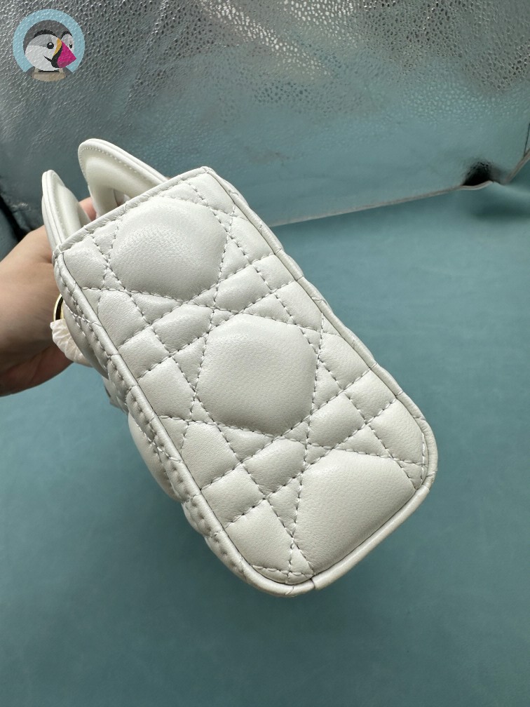 디올 레이디 디조이 백 스몰 까나쥬