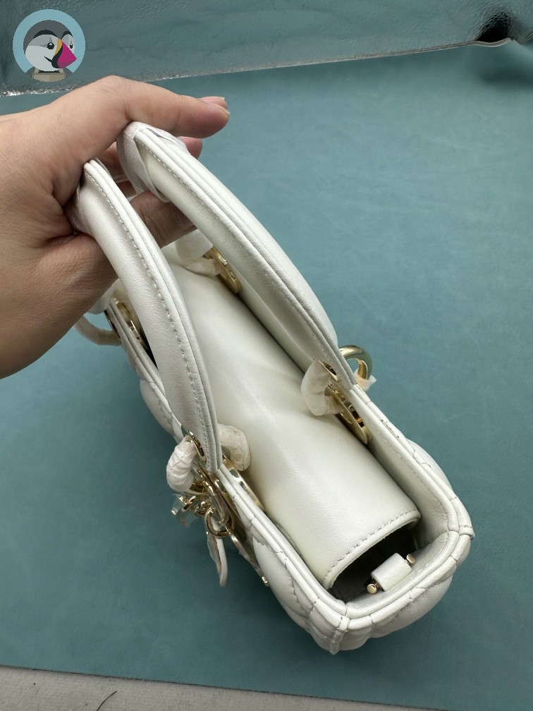 디올 레이디 디조이 백 스몰 까나쥬