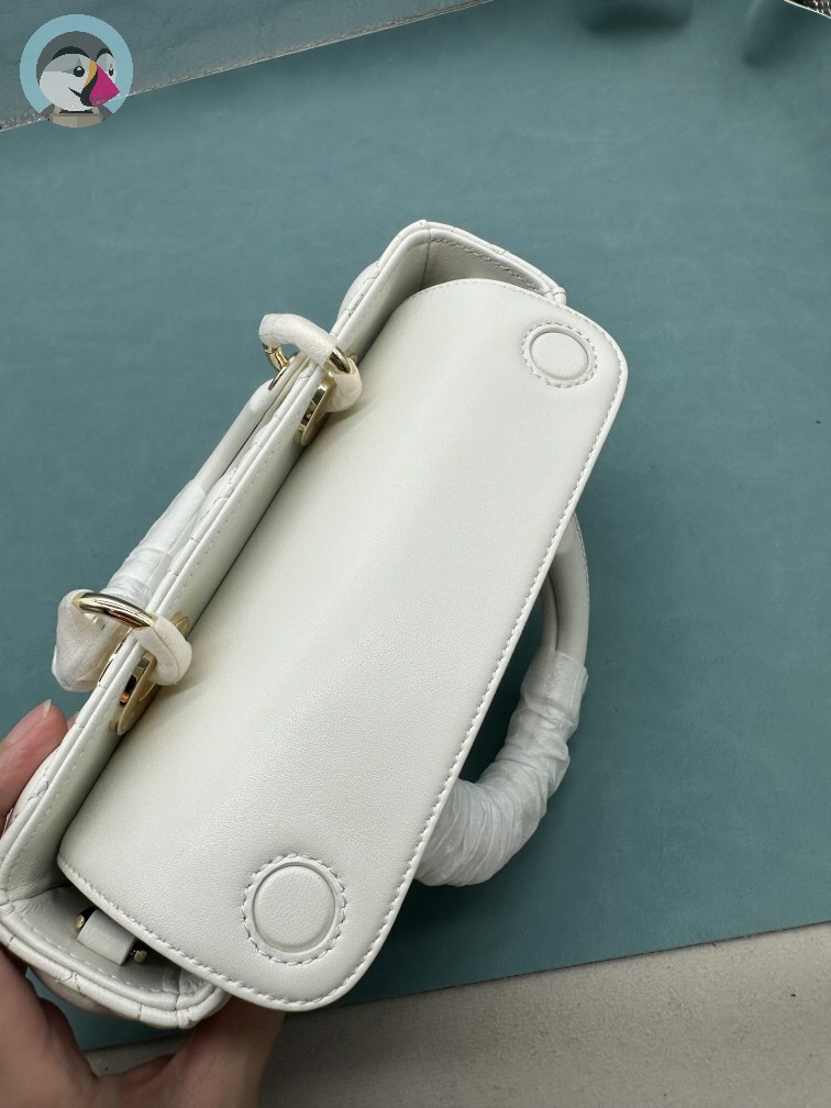 디올 레이디 디조이 백 스몰 까나쥬